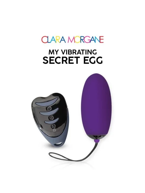 My vibrating secret egg - Violet