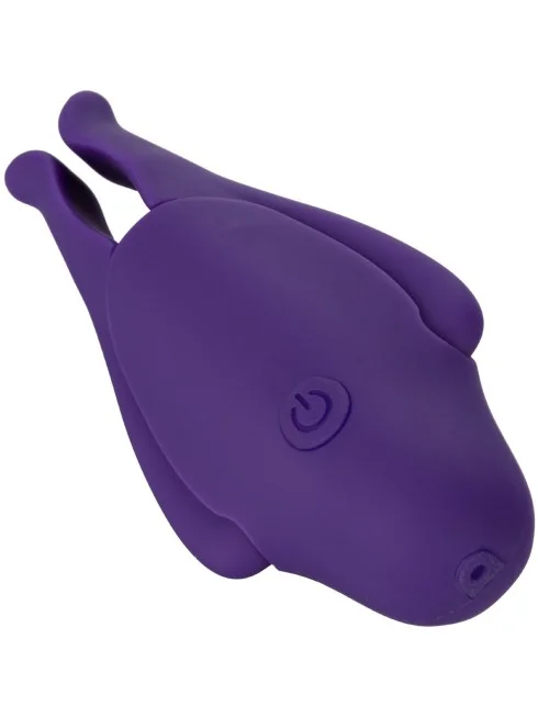 Pinces a Seins Vibrantes Rechargeables Nipple Play